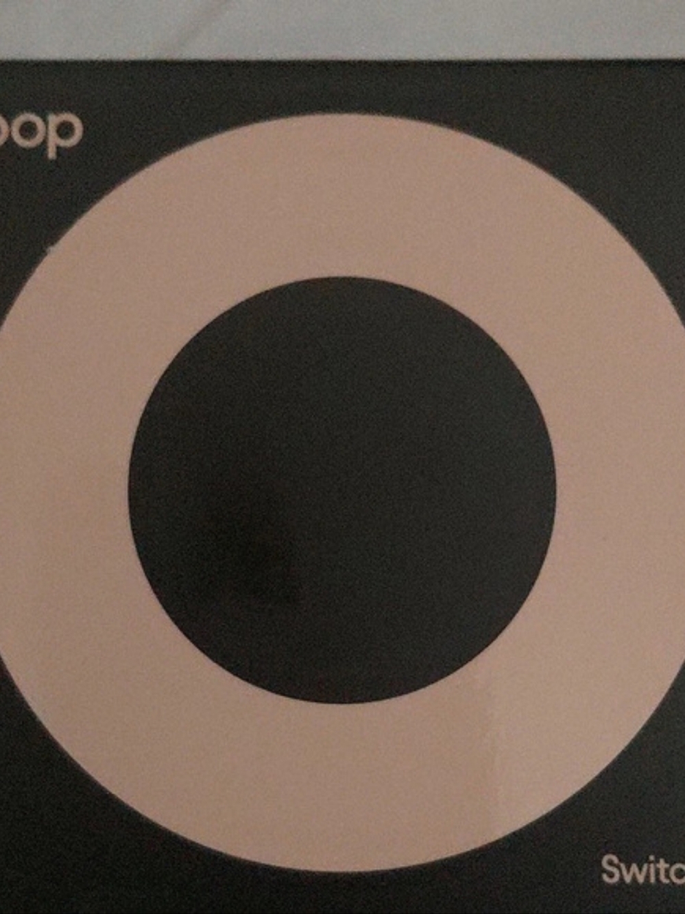 loop Switch 2 Around Earpiece Brand NEW